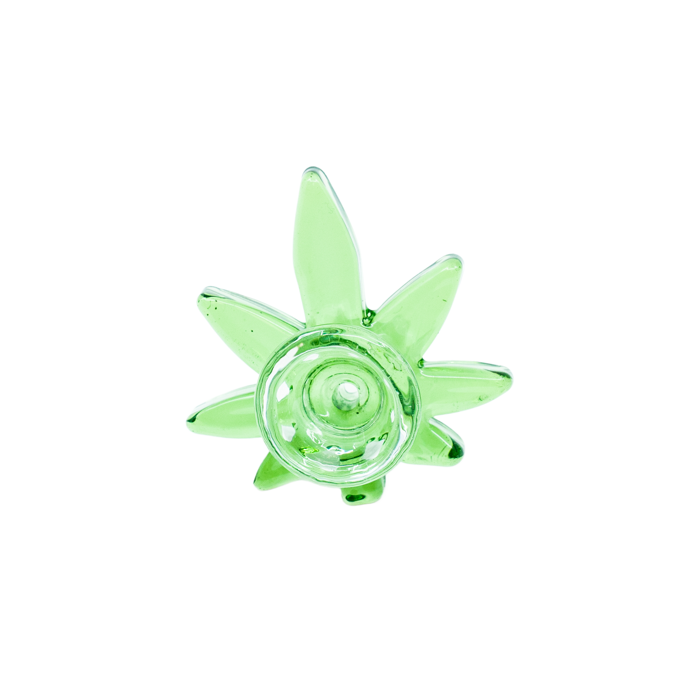 The Re-Leaf Bowl